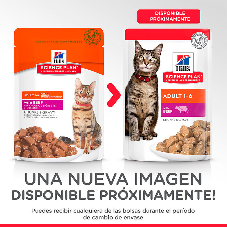 Hill&#039;s Science Plan Adult Ternera Sobre en Salsa para gatos thumbnail