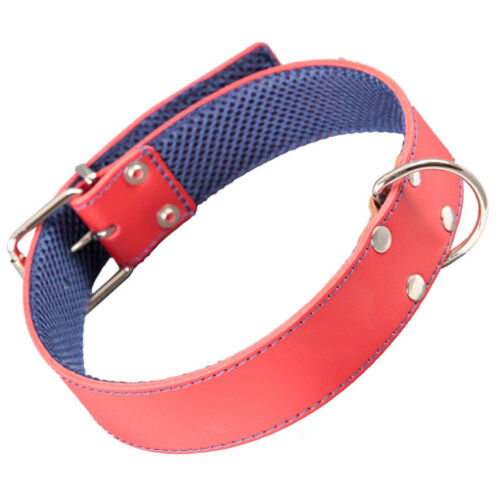 Arppe cuero cosido rojo collar para perros Imagen numero 1