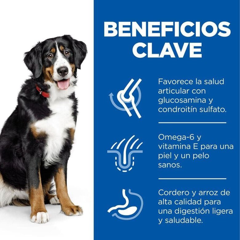 14 kg Hill's Science Plan Adult Large Cordero pienso para perros,  Imagen numero 4 14 kg Hill's Science Plan Adult Large Cordero pienso para perros, , large Imagen numero 4