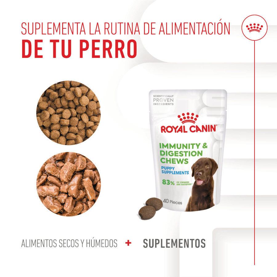 100 g Royal Canin Immunity & Digestion Chews Puppy Suplemento nutricional para perros, , large Imagen numero 9