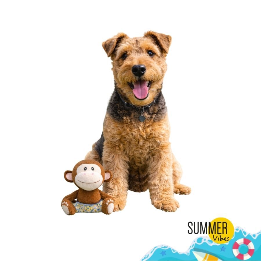 Summer Vibes Mono Dolce Vita  Peluche para perros, , large Imagen numero 6
