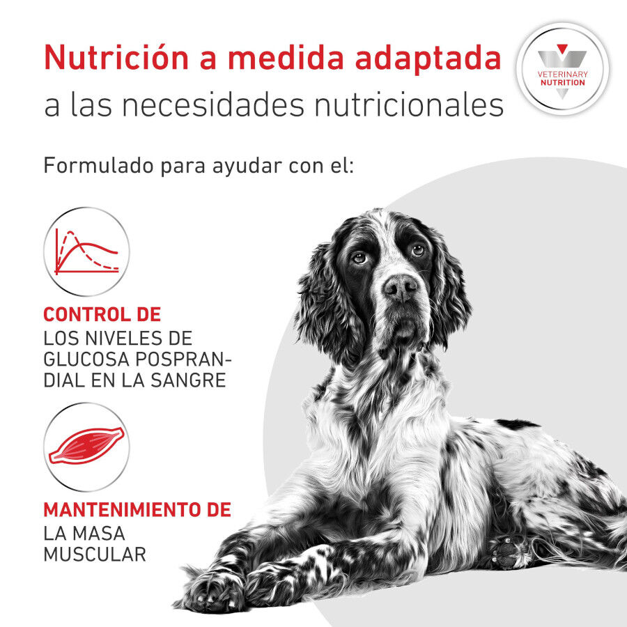 1.5 kg Royal Canin Veterinary Diabetic pienso para perros, , large Imagen numero 3