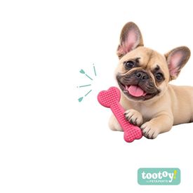 Tootoy! Puppy Hueso Llave Coraz&oacute;n Rosa Juguete para perros