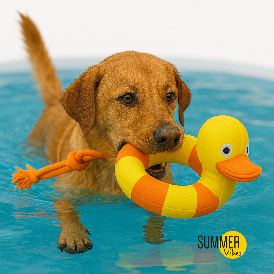 Summer Vibes Pato Flotante juguete para perros, , large Imagen numero 2