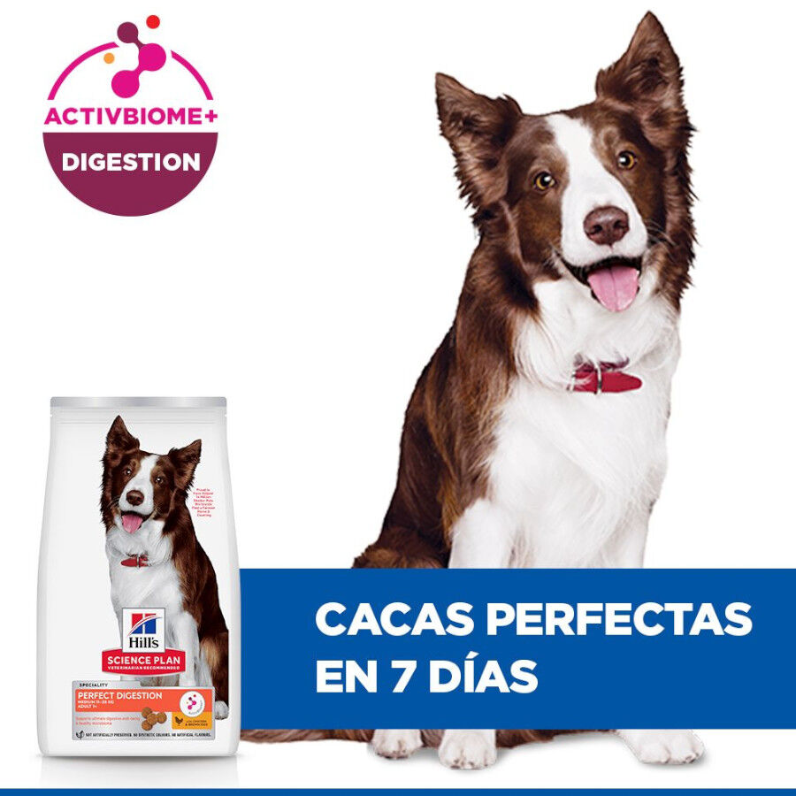 Hill&#039;s Science Plan Perfect Digestion Adult Medium Pollo pienso para perros thumbnail