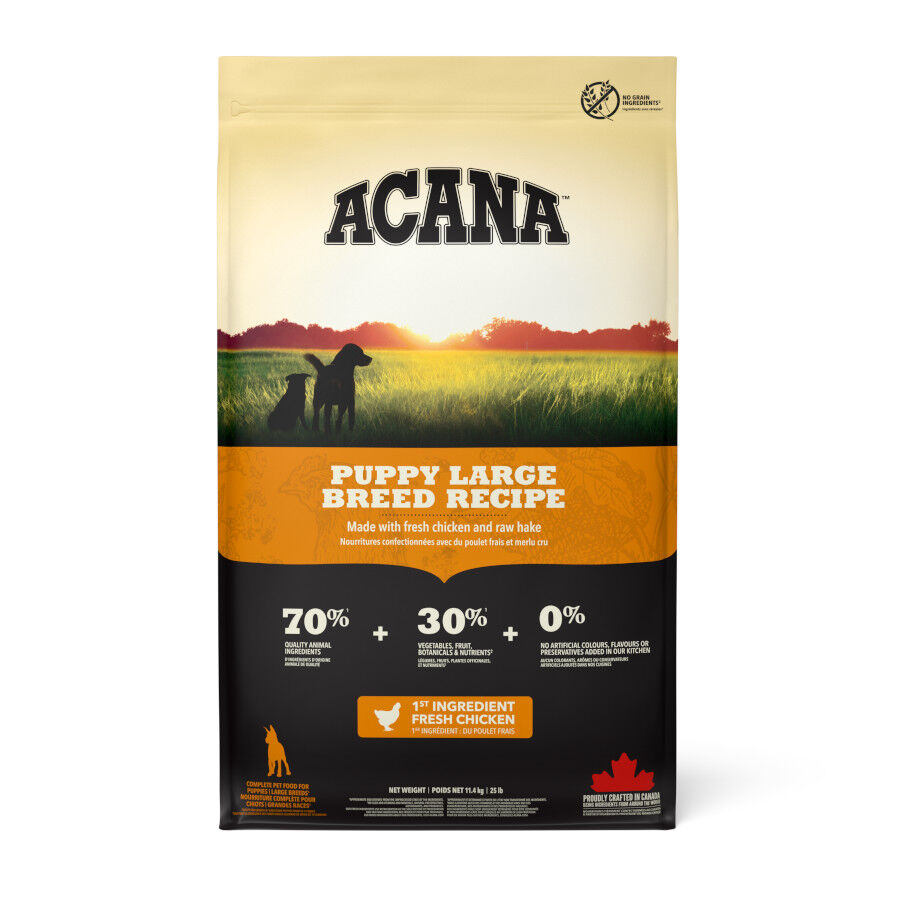 Acana Puppy Large Breed pienso para perros
