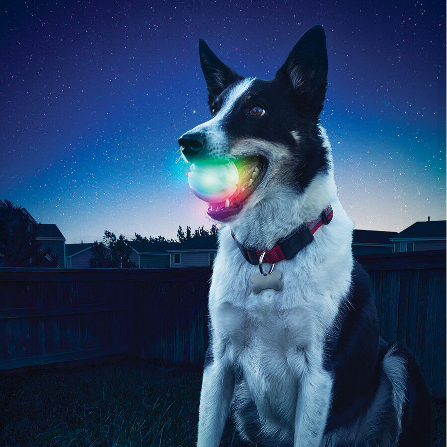 Nite Ize Glowstreak Disc-O LED Pelota para perros thumbnail