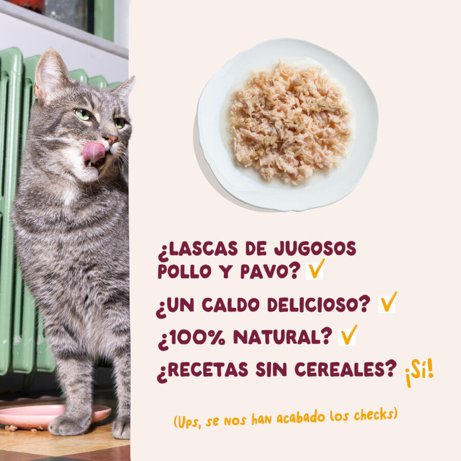 70 g Edgard & Cooper Filetes de Pollo y Pavo Lata para gatos, , large Imagen numero 4