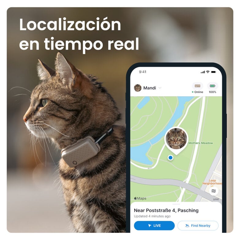 Tractive Cat Mini Localizador GPS Marrón para gatos,  Imagen numero 6 Tractive Cat Mini Localizador GPS Marrón para gatos, , large Imagen numero 6