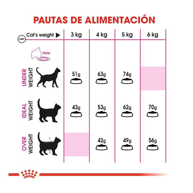 Royal Canin Adult Exigent Savour pienso para gatos thumbnail