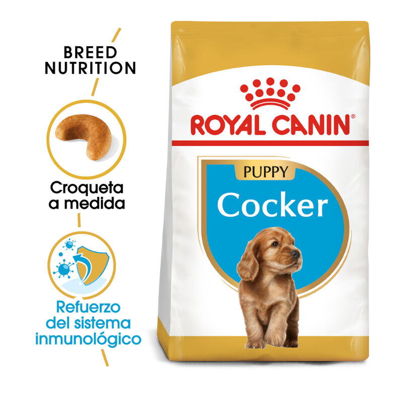 Royal Canin Puppy Cocker pienso para perros thumbnail
