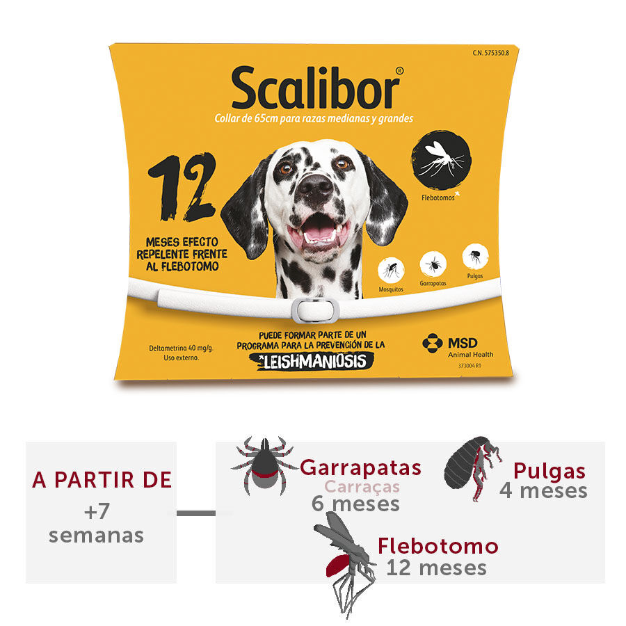 Scalibor Collar Antiparasitario para perros Kiwoko