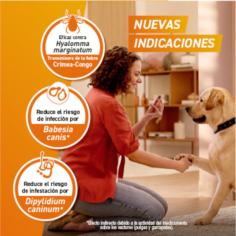 Frontpro Comprimidos Masticables Antiparasitario para perros, , large Imagen numero 7