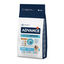 12 kg Advance Active Defense Maxi Puppy Pollo y Arroz pienso para perros, , large indicador imagen numero 1