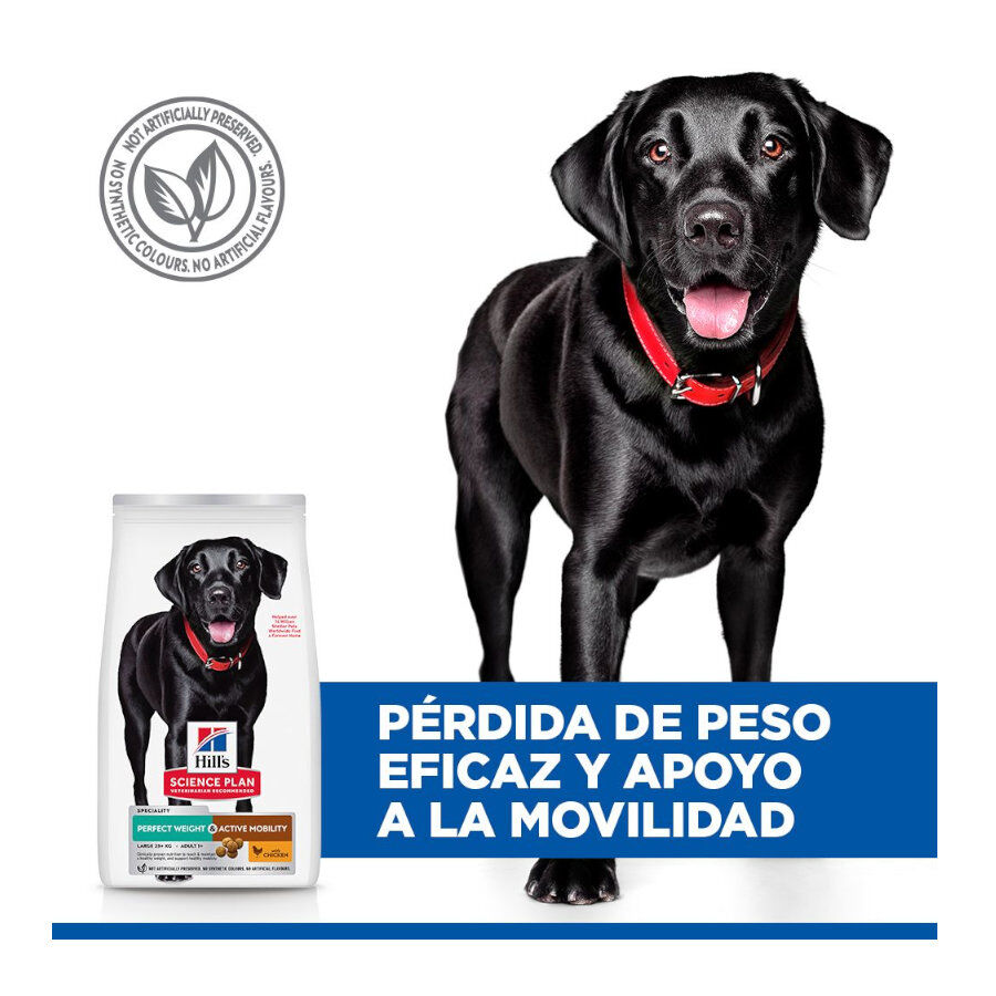 12 kg Hill's Science Plan Perfect weight y Active Mobility pollo pienso para perros grandes, , large Imagen numero 5