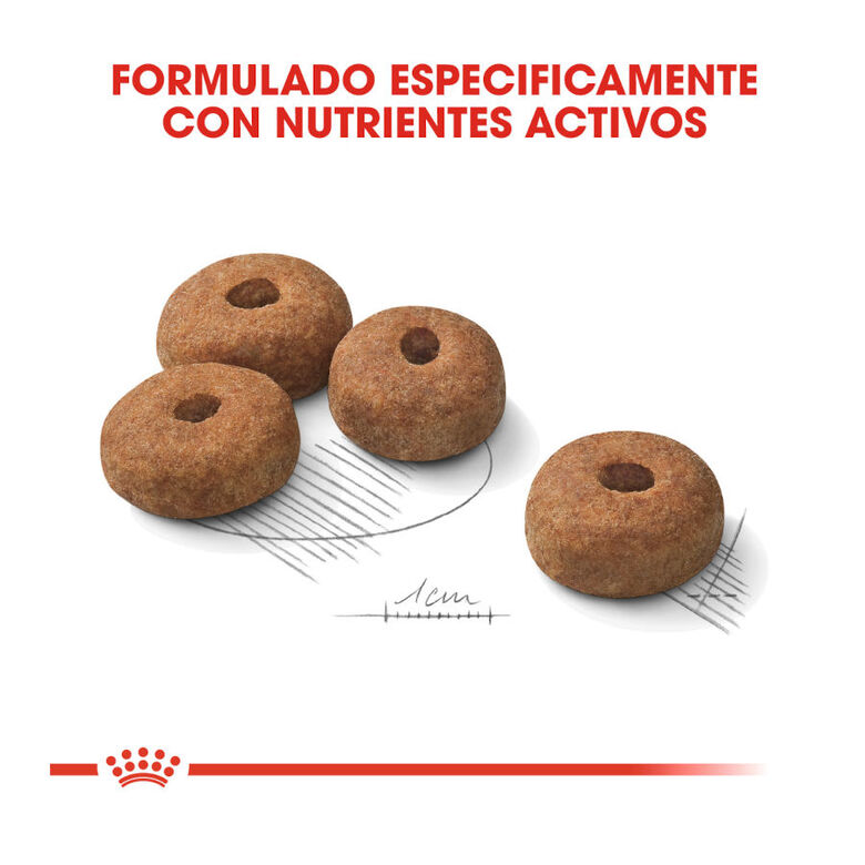 Royal Canin Sterilised Maxi pienso para perros thumbnail