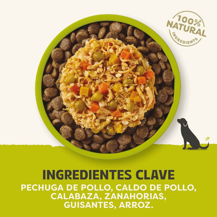 156 g Applaws Taste Toppers Pollo con Vegetales en Caldo lata para perros, , large Imagen numero 4