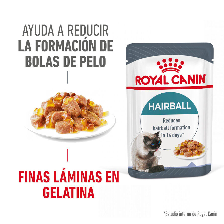 Royal Canin Hairball Care Sobre en Gelatina para gatos thumbnail