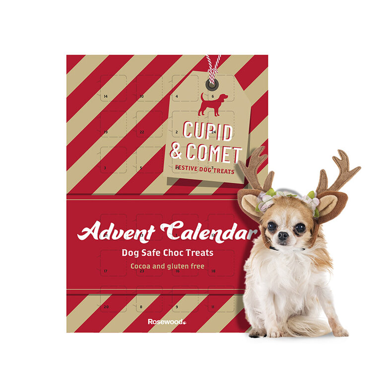 ¡Calendario de Adviento para perros con sorpresas diarias!