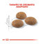 Royal Canin Active Life Outdoor pienso para gatos, , large indicador imagen numero 3