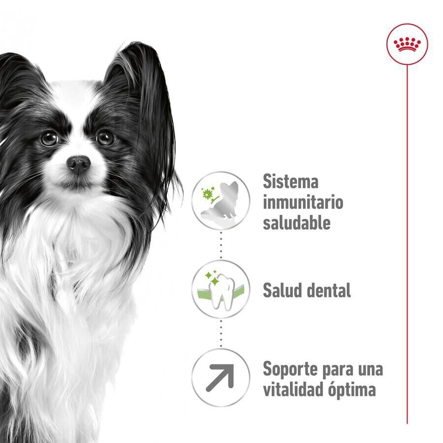 1.5 kg Royal Canin X-Small 8+ Mature pienso para perros, , large Imagen numero 5