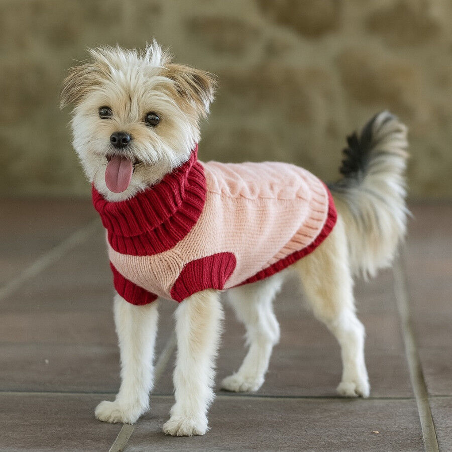 Freedog Jersey Elsinor para perros thumbnail