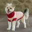 Freedog Jersey Elsinor para perros, , large indicador imagen numero 1
