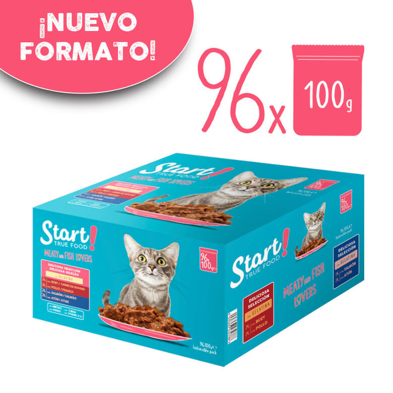 Start Cat Carne con Pollo y Pescado en Gelatina sobre para gatos thumbnail
