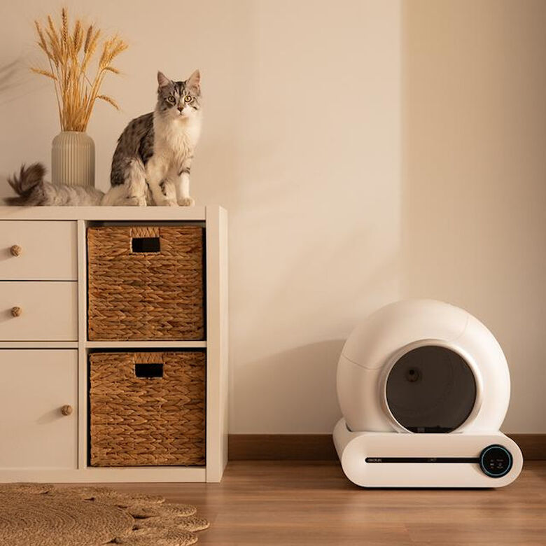 Cecotec Pumba 8000 CleanKitty Smart Arenero Autolimpiable para gatos thumbnail
