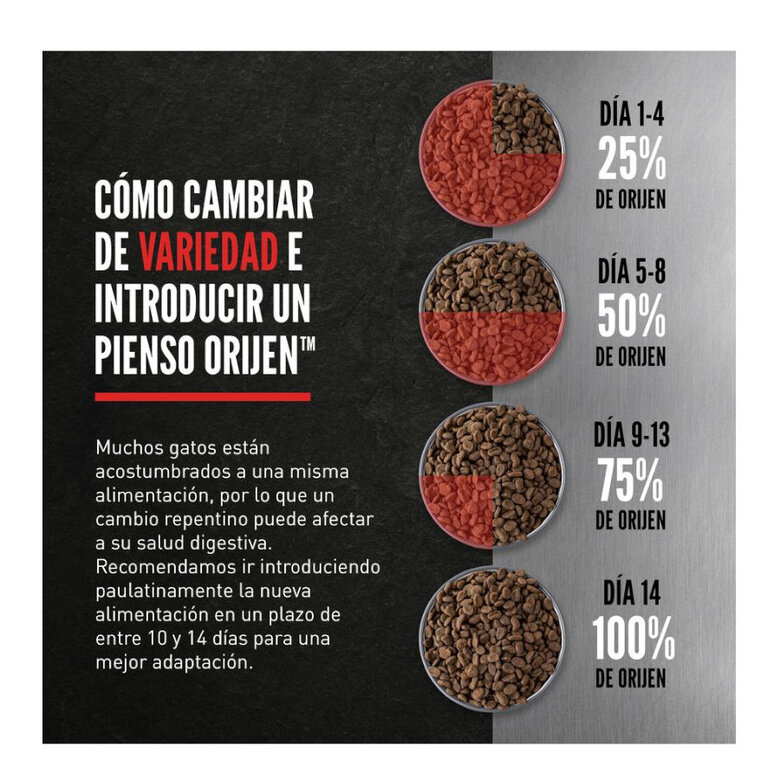 5.4 kg Orijen Six Fish pienso para gatos,  Imagen numero 6 5.4 kg Orijen Six Fish pienso para gatos, , large Imagen numero 6