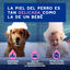 Ceva Douxo Spa Champú Alivia para perros, , large indicador imagen numero 8