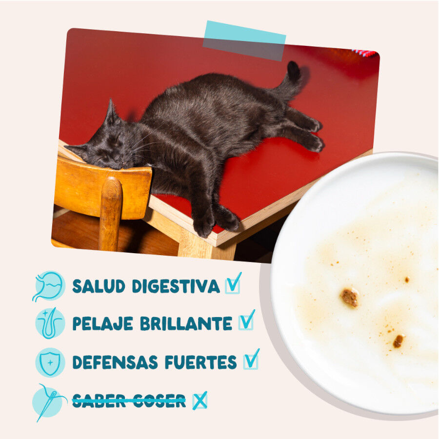 85 g Edgard & Cooper At&uacute;n y Pollo sobre en salsa para gatos, , large Imagen numero 4