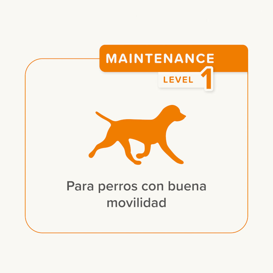 Beaphar Flexifit Treats Condroprotector para perros thumbnail