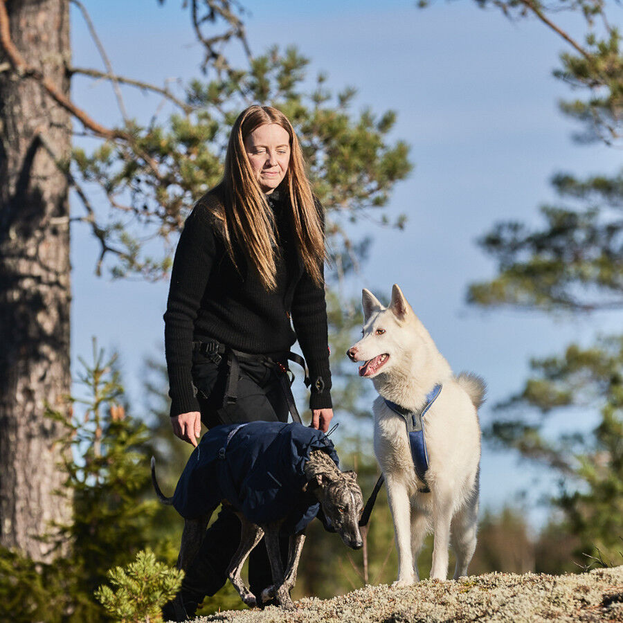 Non-stop dogwear Line 5.0 Arnés Azul para perros thumbnail