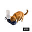 Gotoo Botella Bebedero Port&aacute;til de Pl&aacute;stico Azul para perros y gatos, , large indicador imagen numero 7