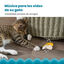 Outward Hound Catstages Dental Peluche Banana para gatos, , large indicador imagen numero 4