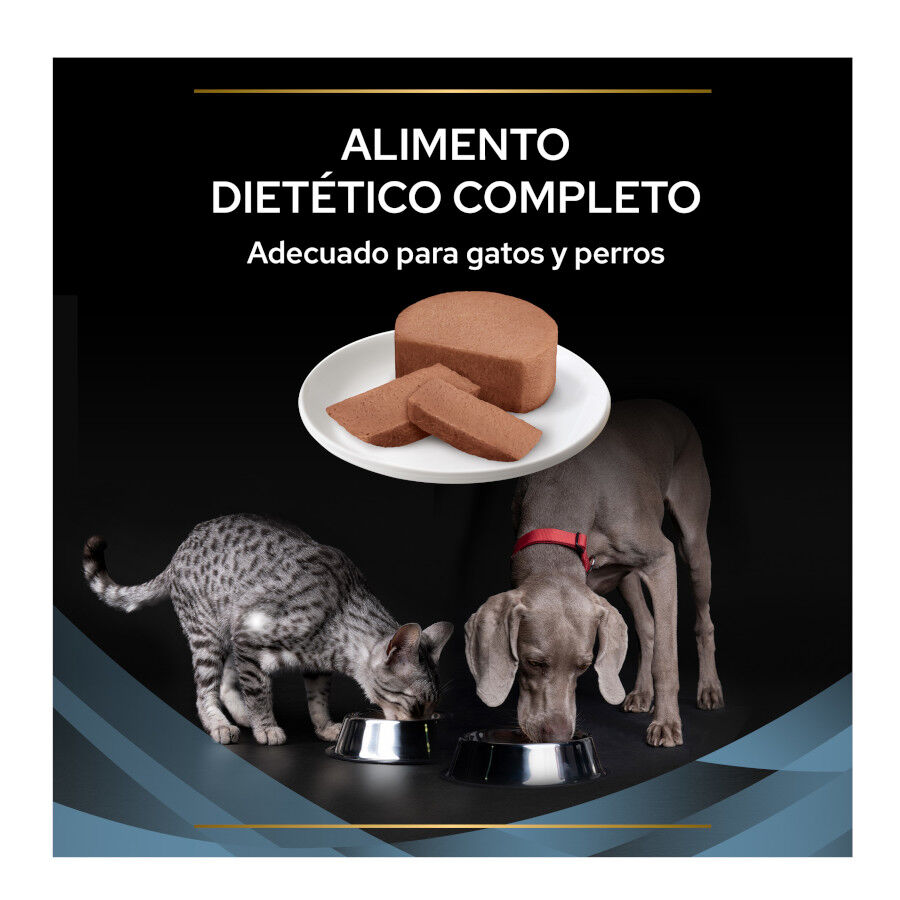 195 g Pro Plan Veterinary Diets Convalescence latas para perros y gatos, , large Imagen numero 3