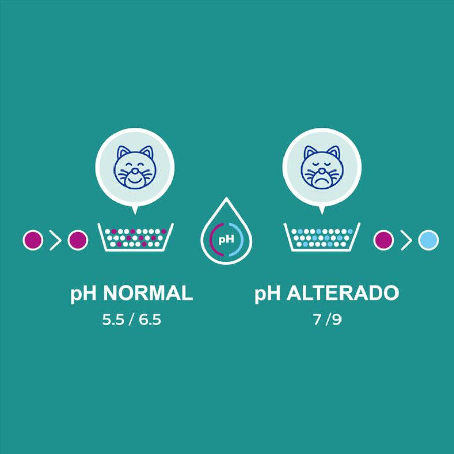 Lindocat Advance Control Arena Aglomerante para gatos thumbnail