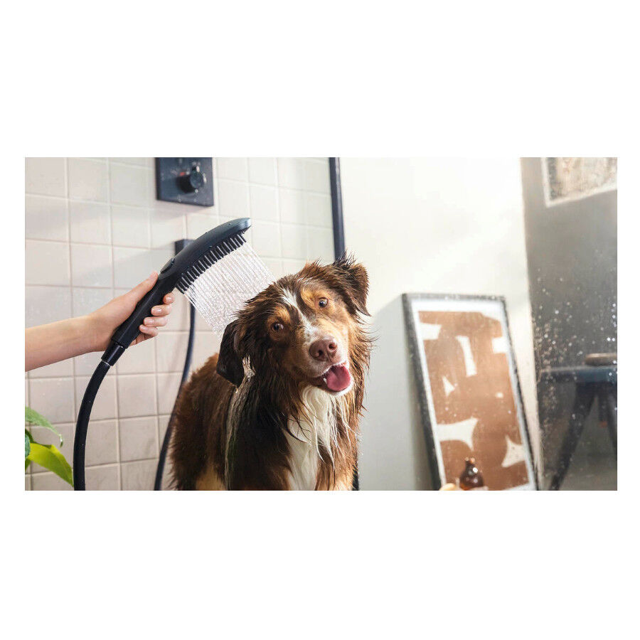 Hansgrohe Alcachofa de Ducha Negra para perros thumbnail