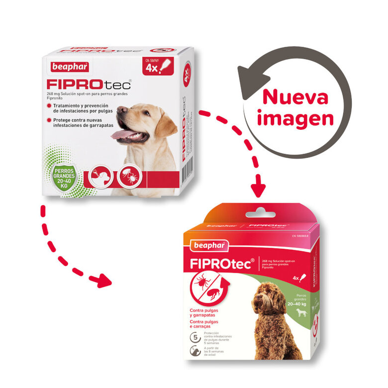 Beaphar FiproTec Pipetas para perros de razas grandes, , large image number null