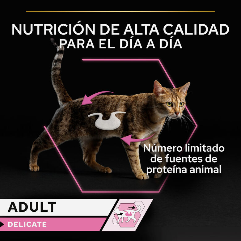 Pro Plan Delicate Mousse rico en pavo para gatos thumbnail