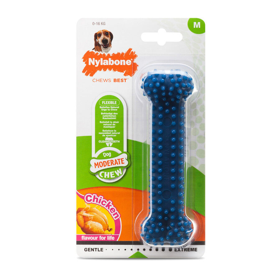Nylabone Dental Chew Hueso mordedor para perros thumbnail