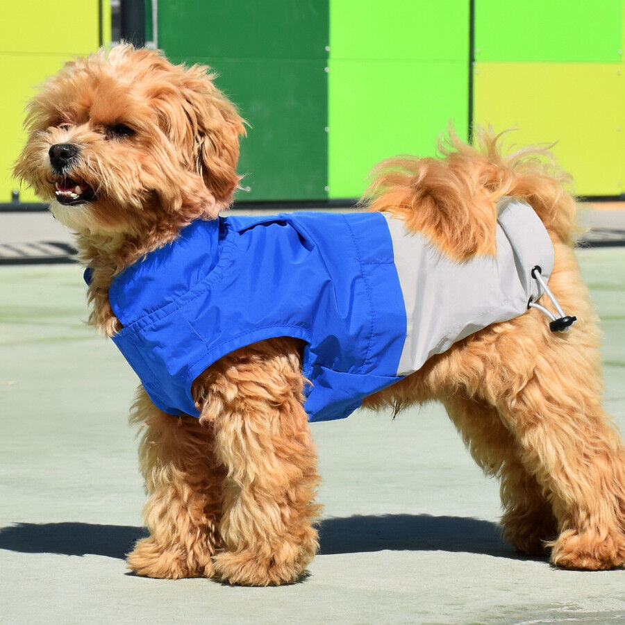 Nayeco X-TRM Chubasquero Azul y Gris para perros thumbnail