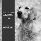 Criadores Senior Pollo y Arroz pienso para perros de razas medianas y grandes, , large image number null