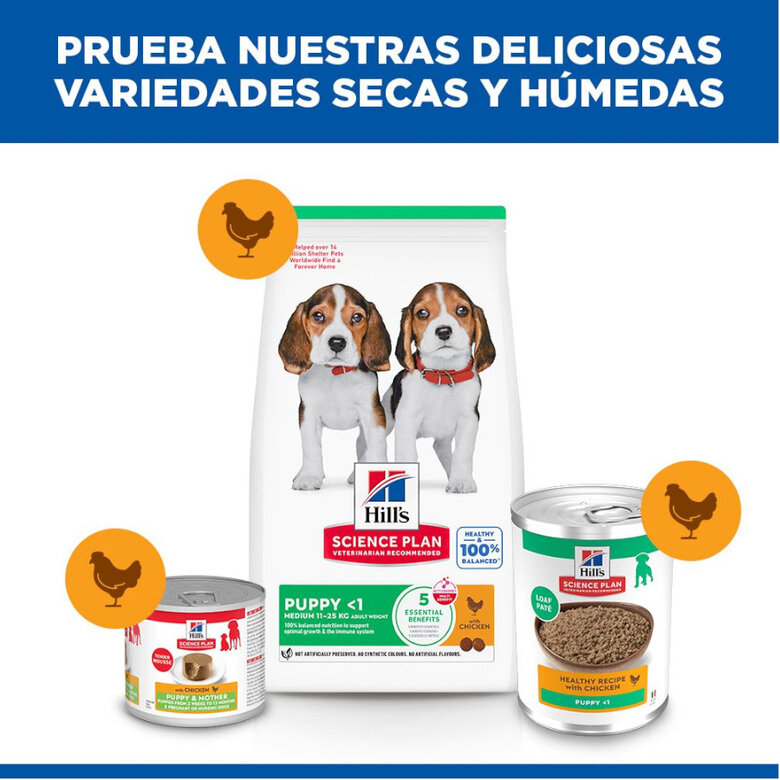 370 g Hill's Science Plan Puppy pollo lata para perros,  Imagen numero 6 370 g Hill's Science Plan Puppy pollo lata para perros, , large Imagen numero 6