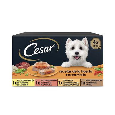 Cesar Recetas de la huerta Tarrina en Paté y Gelatina para Perros - Multipack
