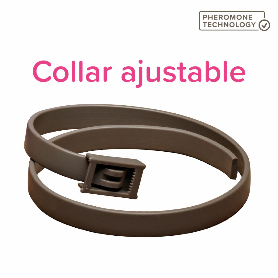 Beaphar CaniComfort Adult Collar Antiestr&eacute;s para perros, , large Imagen numero 2