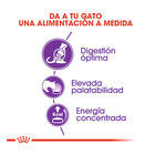 Royal Canin Regular Sensible 33 pienso para gatos, , large image number null
