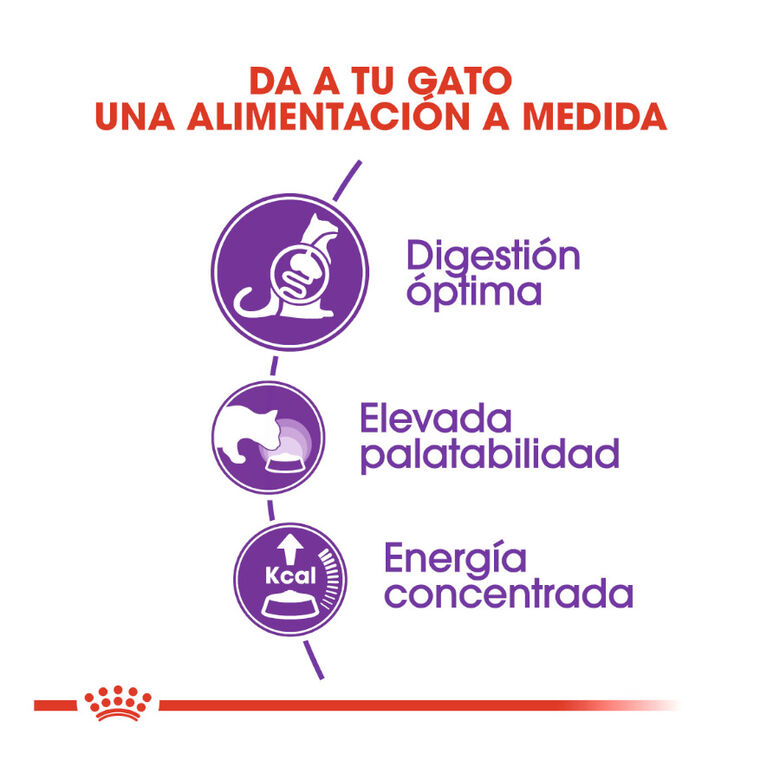 Royal Canin Regular Sensible 33 pienso para gatos thumbnail