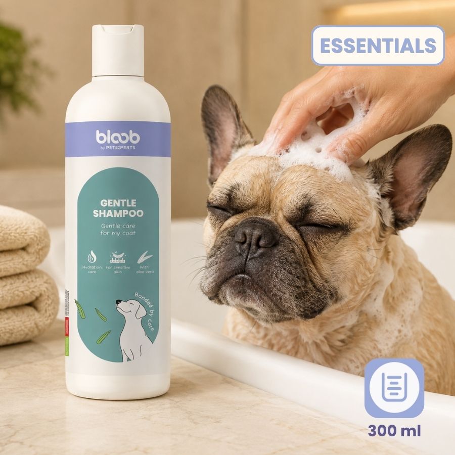 Bloob Champ&uacute; Piel Sensible Aloe Vera para perrros, , large Imagen numero 7